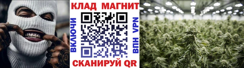 Где купить наркоту Рязань Альфа ПВП  Кокаин  Псилоцибиновые грибы  Конопля  Меф 