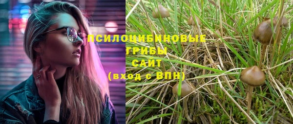 эйфоретик Абинск