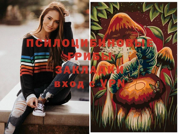 мет Абаза