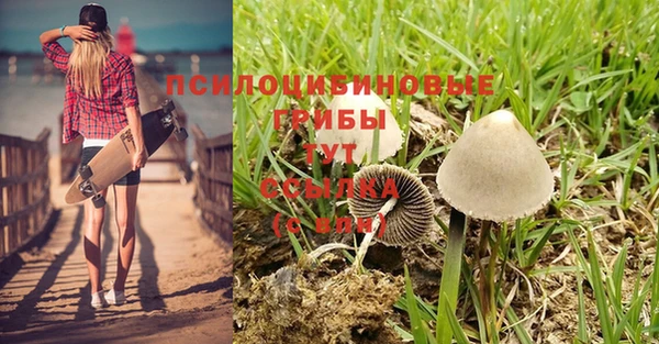 мет Абаза