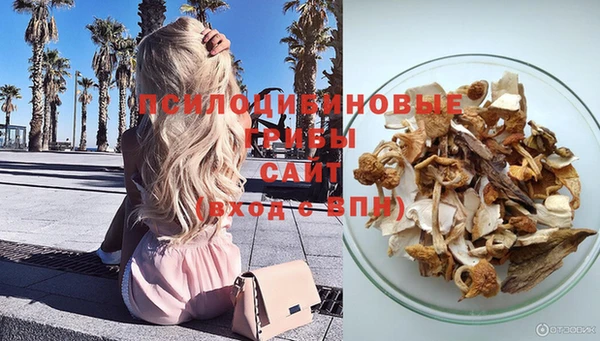 эйфоретик Абинск