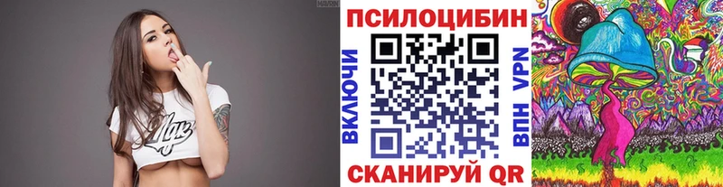 Галлюциногенные грибы Psilocybine cubensis  где купить   Рязань 